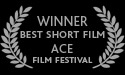 Winner BEST SHORT FILM: ACE Film Festival 2008
